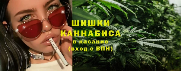 прущие грибы Верхнеуральск