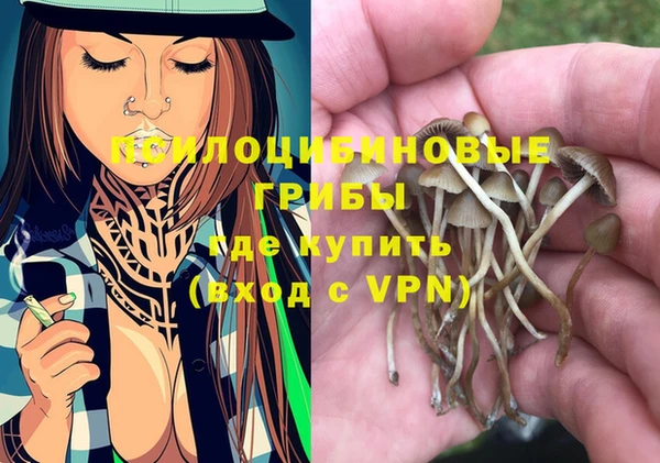прущие грибы Верхнеуральск