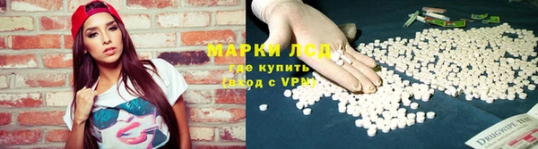 прущие грибы Верхнеуральск