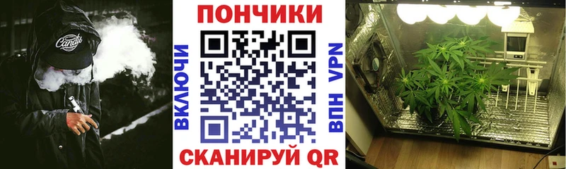где можно купить   Георгиевск  блэк спрут ССЫЛКА  Конопля тримм 